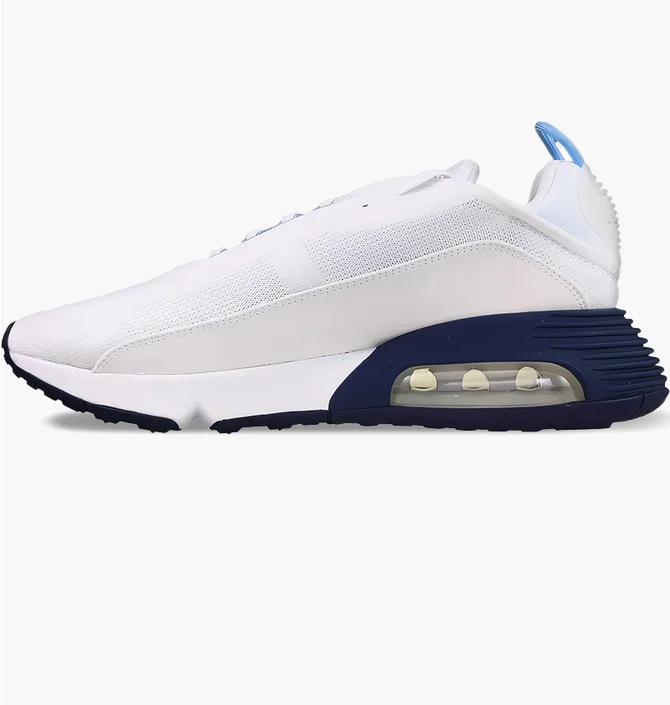 Кросівки чоловічі Nike Air Max 2090 White DM2823-100