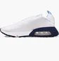 Кросівки чоловічі Nike Air Max 2090 White DM2823-100