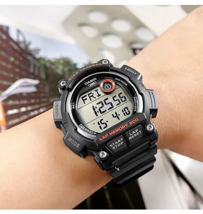 Часы мужские Casio Timeless Collection WS-2100H-1A