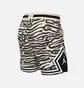 Шорты мужские Air Jordan Dri Fit Diamond Men Beige/Brown DM2818-219