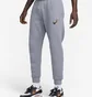 Штаны мужские Nike Sportswear Grey FZ1379-065