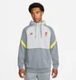 Худи мужское Nike Liverpool Fc Travel Fleece Grey DB7824-016
