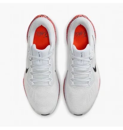 Кроссовки мужские Nike Pegasus 41 Electric White FV2229-900