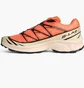 Кроссовки мужские Salomon Xt-6 Orange L47445000