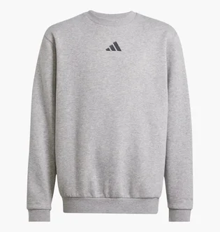 Світшот дитячий Adidas All Szn Graphic Grey JC7642
