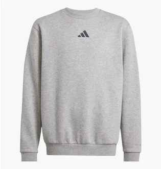 Свитшот детский Adidas All Szn Graphic Grey JC7642