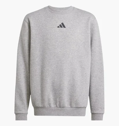 Свитшот детский Adidas All Szn Graphic Grey JC7642