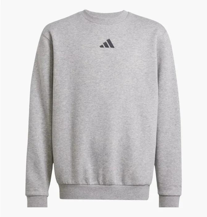 Свитшот детский Adidas All Szn Graphic Grey JC7642