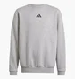 Свитшот детский Adidas All Szn Graphic Grey JC7642