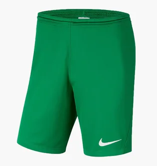 Шорты детские Nike Y Nk Df Park Iii Short Nb K Green Bv6865-302