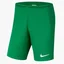 Шорты детские Nike Y Nk Df Park Iii Short Nb K Green Bv6865-302