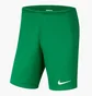Шорти дитячі Nike Y Nk Df Park Iii Short Nb K Green Bv6865-302