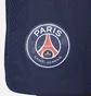 Шорты мужские Nike Dri-Fit Adv Paris Saint-Germain Match 2022/23 Blue DX2630-410