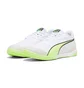 Футзалки мужские Puma Ibero Iv White 107418-01