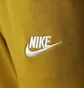 Штани чоловічі Nike Sportswear Club Olive BV2679-716