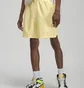 Шорты мужские Air Jordan Essentials Yellow Dm1371-821