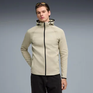 Толстовка мужская Puma Evostripe Beige 692190-61