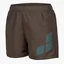 Шорты детские Arena Beach Short Logo R Brown 006446-681