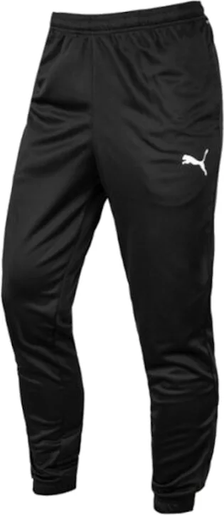 Штани чоловічі Puma Teamrise Poly Training Pants Black 65739003