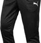 Штаны мужские Puma Teamrise Poly Training Pants Black 65739003