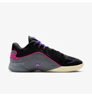 Кроссовки мужские Nike Lebron Xxii Tunnel Vision Multi FZ1094-001