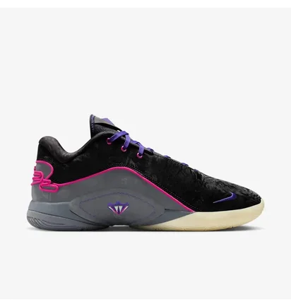 Кроссовки мужские Nike Lebron Xxii Tunnel Vision Multi FZ1094-001