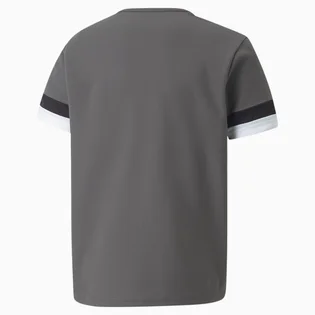 Футболка детская Puma Teamrise Jersey Grey 704938-13
