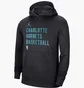 Худи мужское Air Jordan Charlotte Hornets Black FB3690-010