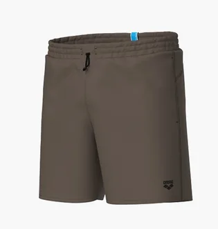 Шорти чоловічі Arena Adjustable Waist Beach Brown 010897-250