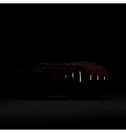 Кроссовки женские Nike Air Max Plus WomenS Shoes Bordo HQ4048-600