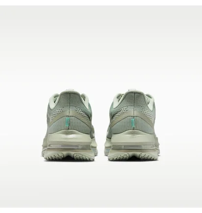 Кросівки чоловічі Nike Pegasus Premium MenS Road Running Shoes Green HQ2592-300