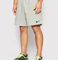 Шорты мужские Nike Shorts M Nk Flc Park20 Short Kz Grey CW6910-063