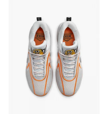 Кросівки чоловічі Nike Cosmic Unity 2 Basketball Shoes Grey DH1537-004