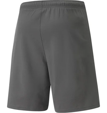 Шорты мужские Puma Shorts Teamrise Short Grey 704942-13