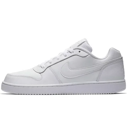 Кроссовки мужские Nike Ebernon Low White Aq1775-100
