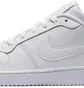 Кроссовки мужские Nike Ebernon Low White Aq1775-100