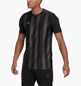 Футболка чоловіча Adidas Jersey Striped 21 Jsy Black/Grey GN7625