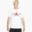 Футболка мужская Air Jordan Air Wordmark White Ck4212-103