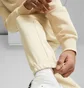 Штаны мужские Puma Classics Beige 535597-88