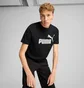 Футболка мужская Puma Essentials 2 Colour No. 1 Logo Tee Black 684708-51