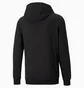 Толстовка чоловіча Puma Fz Black 589349-01