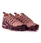 Кроссовки женские Nike W Air Vapormax Plus Bordo Ao4550-200