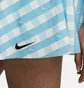 Юбка женская Nike Dri-Fit Club Light Blue DX1142-416