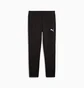Штаны мужские Puma Evostripe Black 681702-01