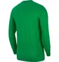 Лонгслів чоловічий Air Jordan Sport Dna MenS Long-Sleeve Crew Green CN3502-310