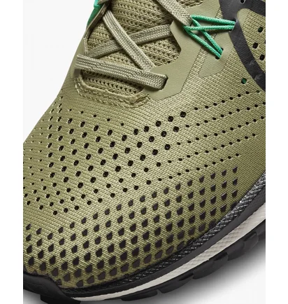 Кросівки чоловічі Nike Pegasus Trail 4 Olive FJ4733-200