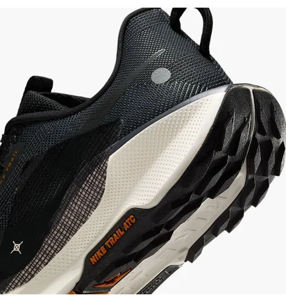 Кросівки чоловічі Nike Pegasus Trail 5 Black DV3864-006
