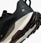 Кросівки чоловічі Nike Pegasus Trail 5 Black DV3864-006