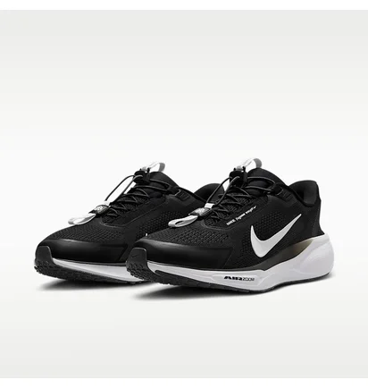 Кросівки чоловічі Nike Pegasus Easyon Black FQ7837-002