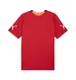 Футболка чоловіча Puma Individualfinal Jersey Red 660424-01